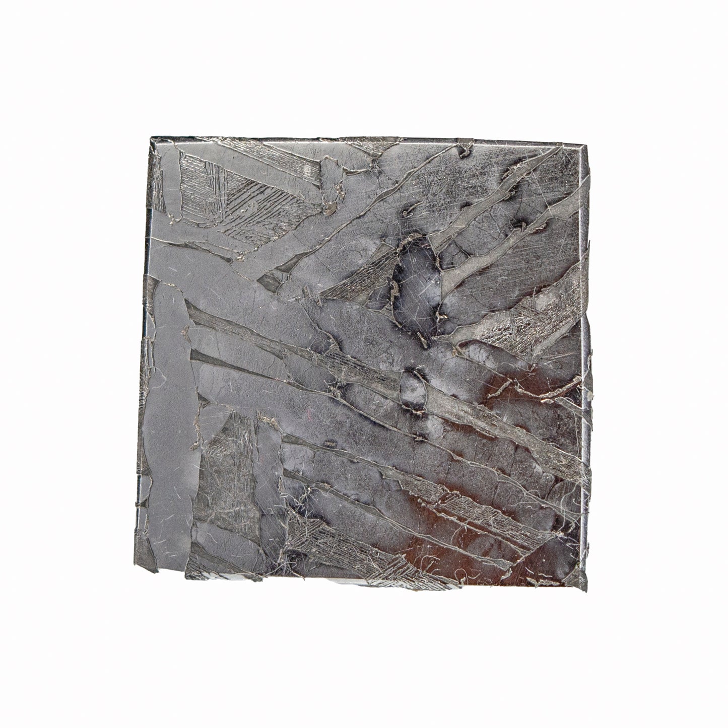 Meteorite - Seymchan - Iron
