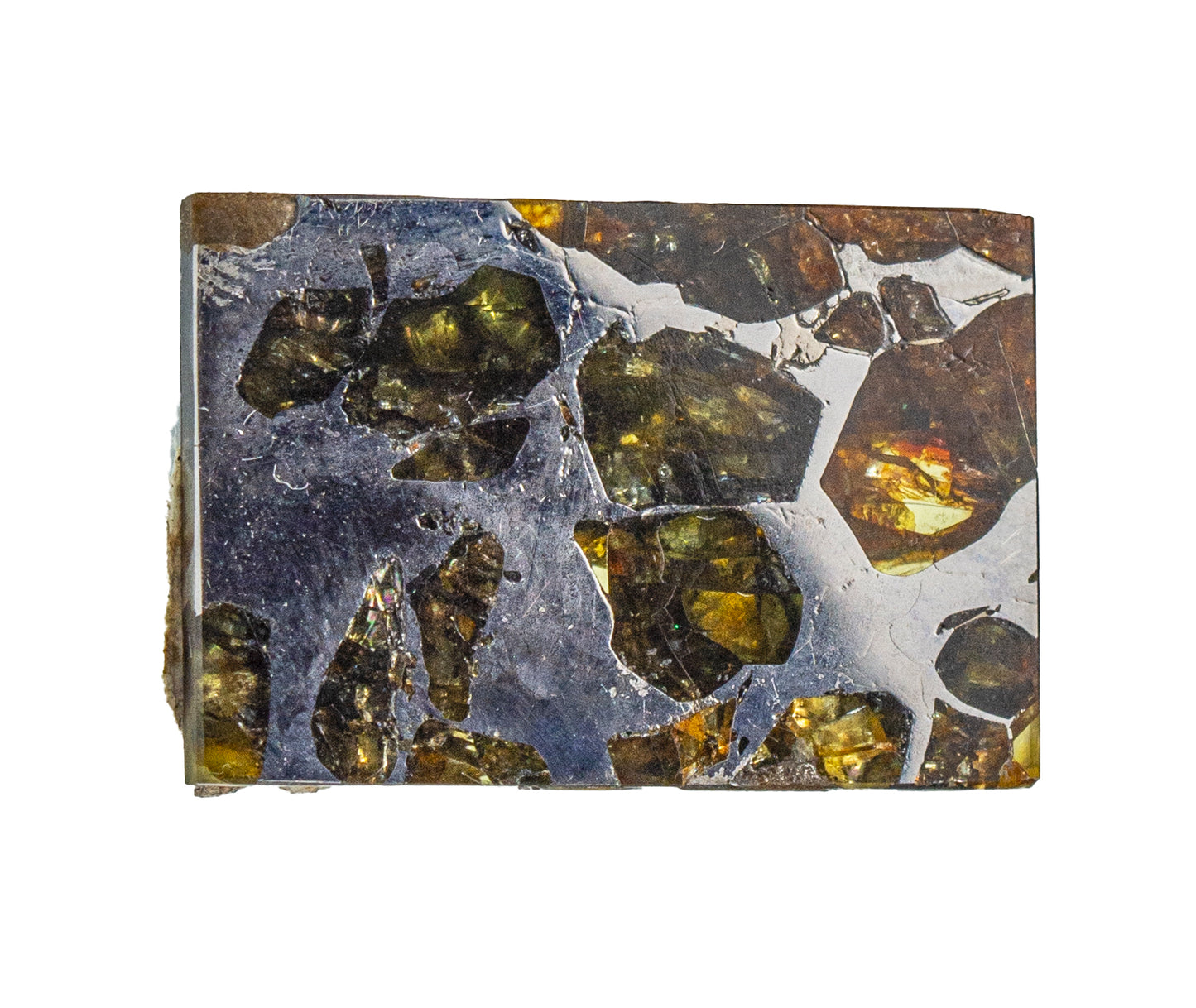 Meteorite - Seymchan - Iron Pallasite