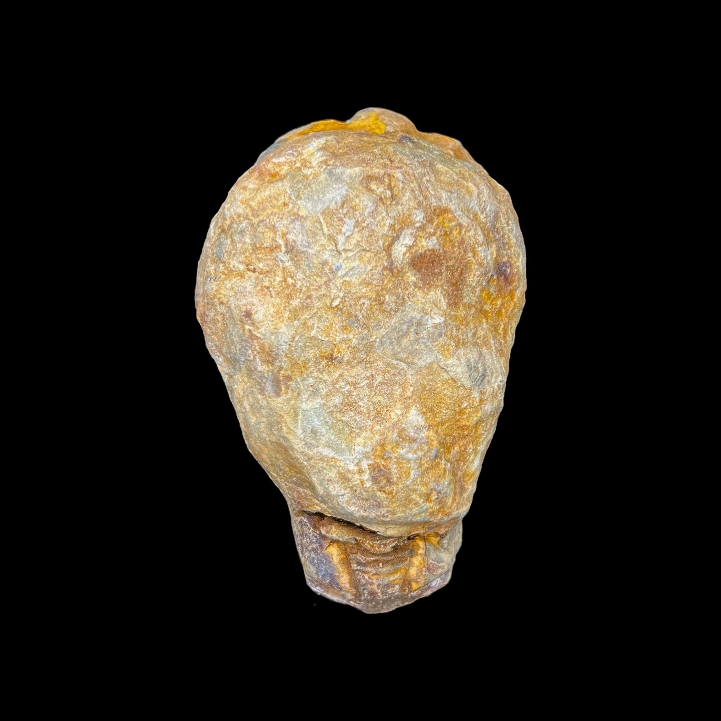 Trilobite Geodes