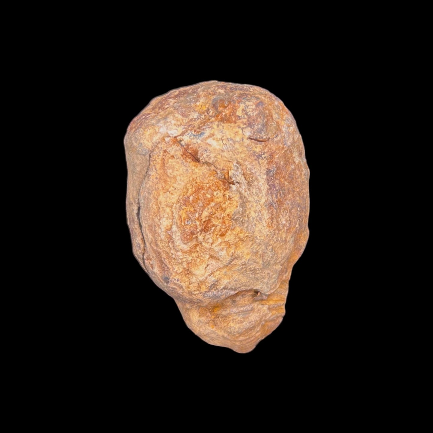 Trilobite Geodes