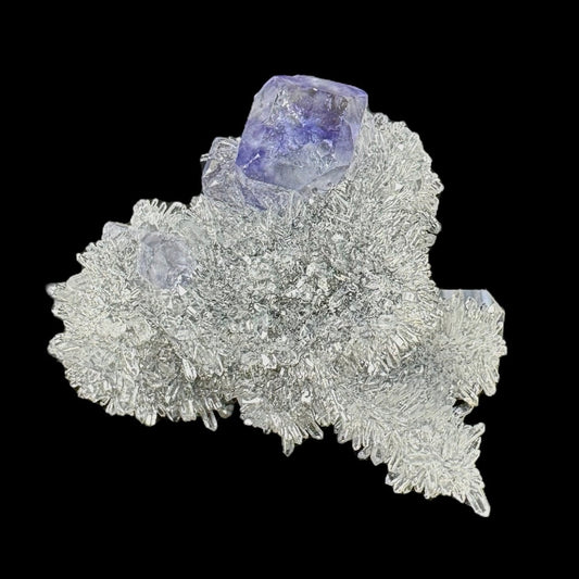 Tanzanite Fluorite