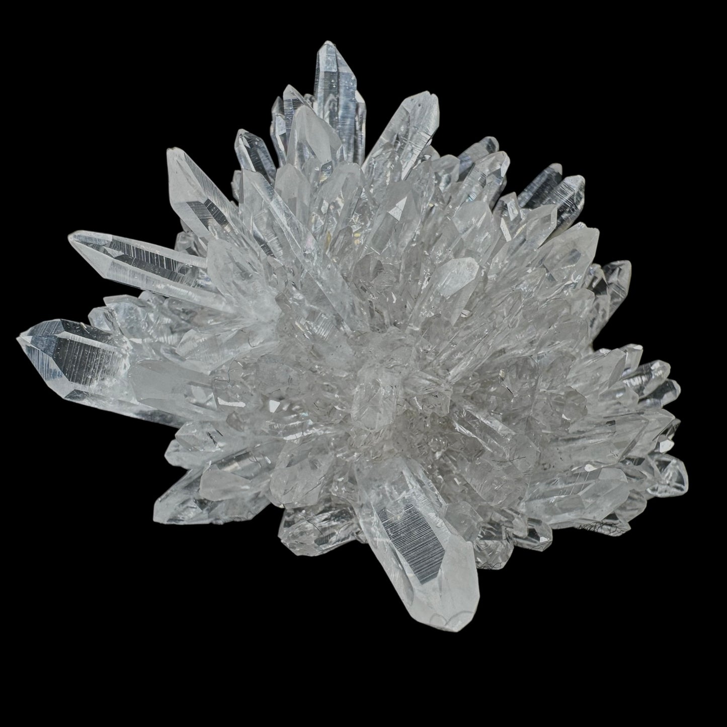 Chrysanthemum Stone