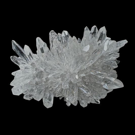 Chrysanthemum Stone