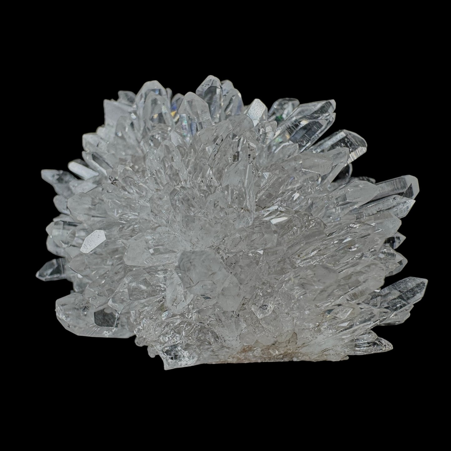 Chrysanthemum Stone