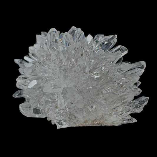 Chrysanthemum Stone
