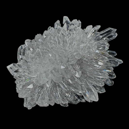 Chrysanthemum Stone