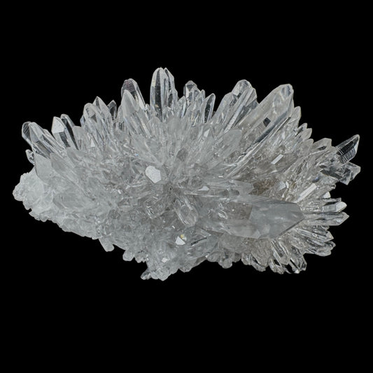 Chrysanthemum Stone