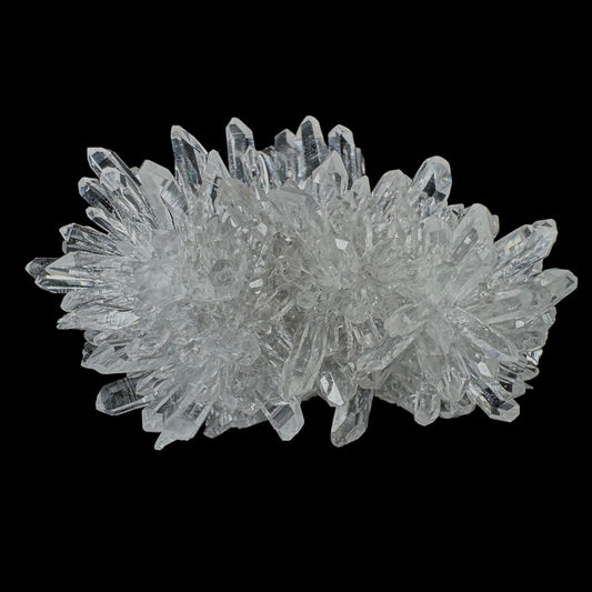 Chrysanthemum Stone
