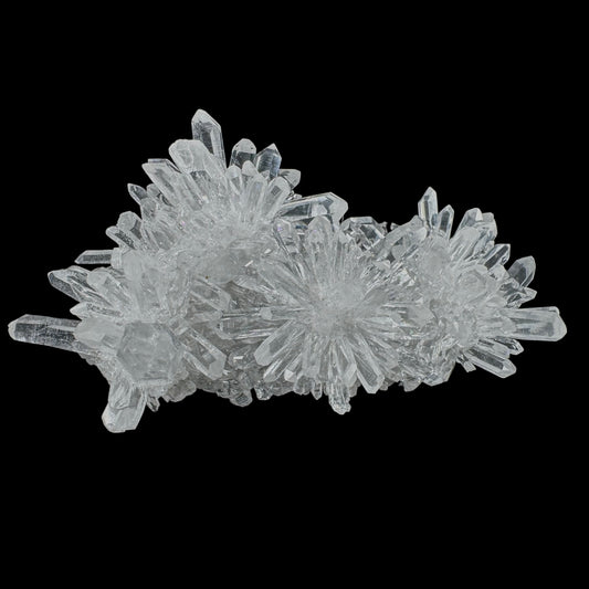 Chrysanthemum Stone