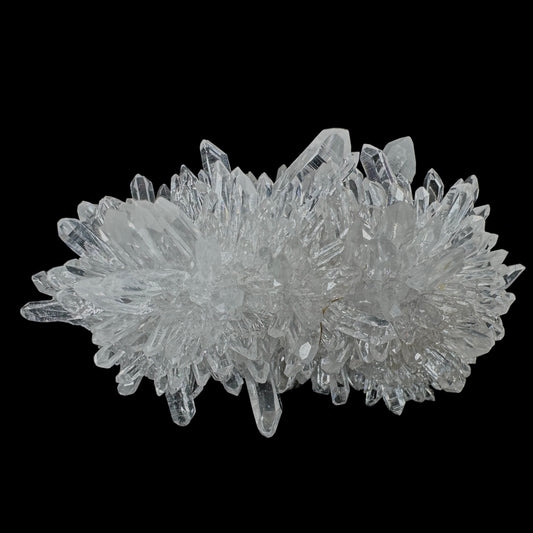Chrysanthemum Stone