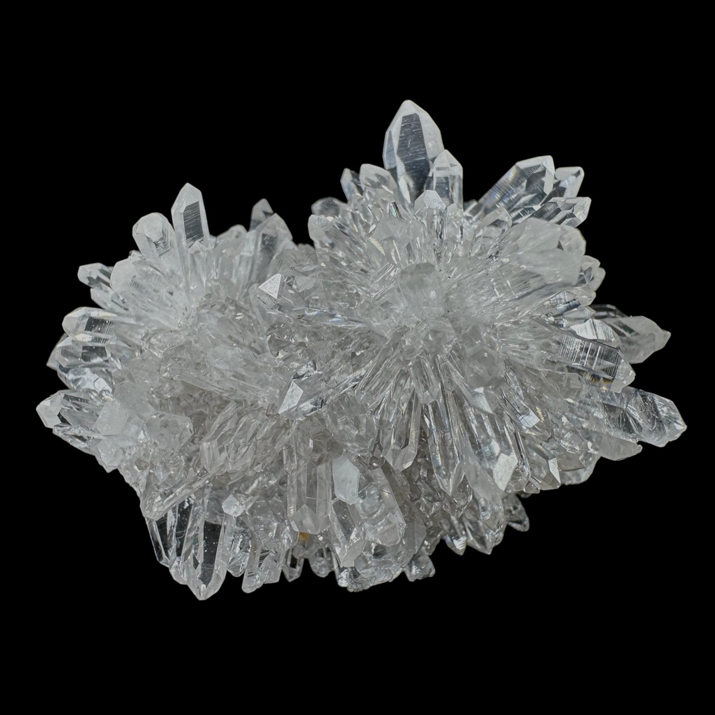 Chrysanthemum Stone