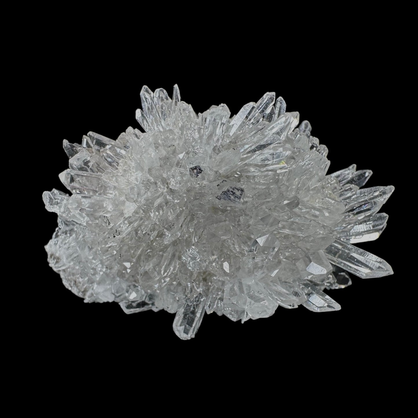 Chrysanthemum Stone