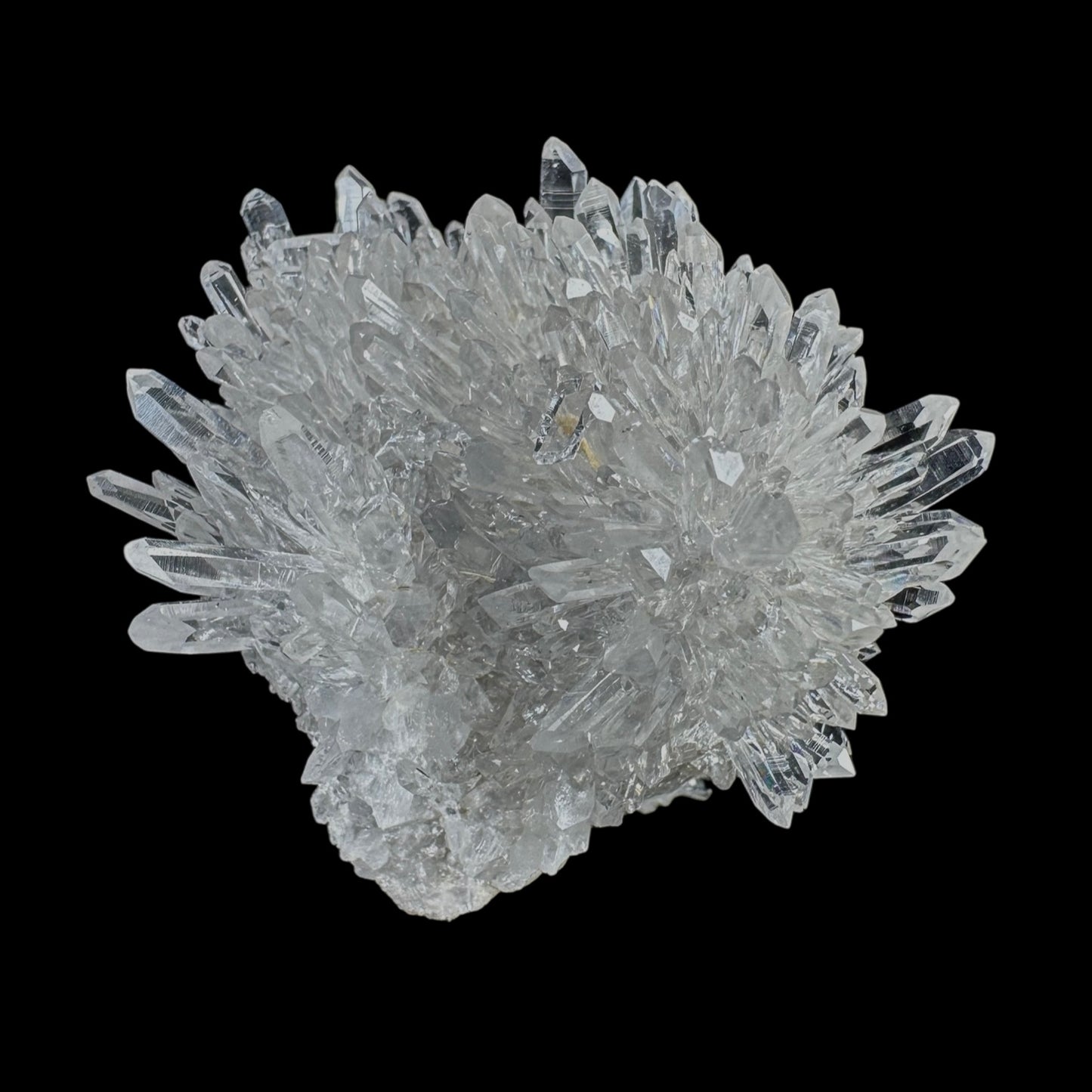 Chrysanthemum Stone