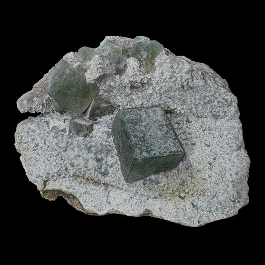 Fluorite Cubes on Matrix