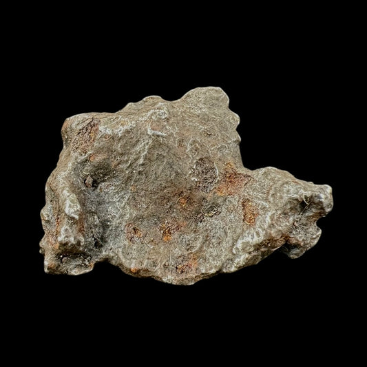 Meteorite - Sikhote-Alin - Octahedrite