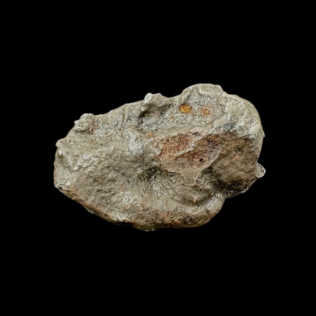 Meteorite - Sikhote-Alin - Octahedrite