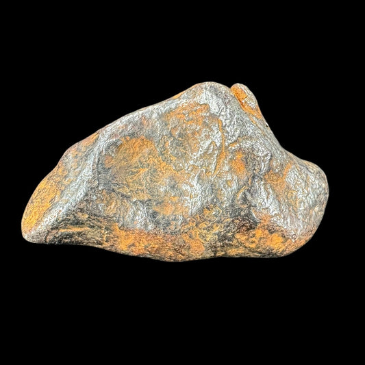 Meteorite - Mundrabilla - Nickel Iron