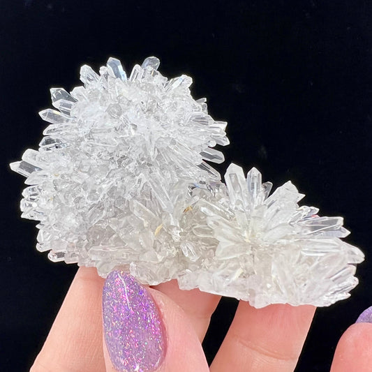 Chrysanthemum Stone