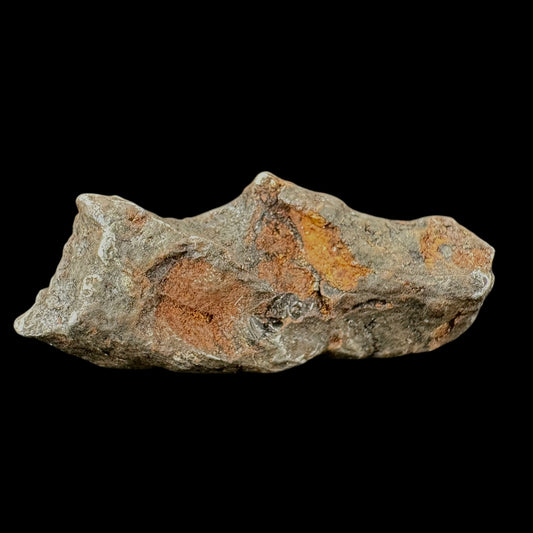 Meteorite - Sikhote-Alin - Octahedrite