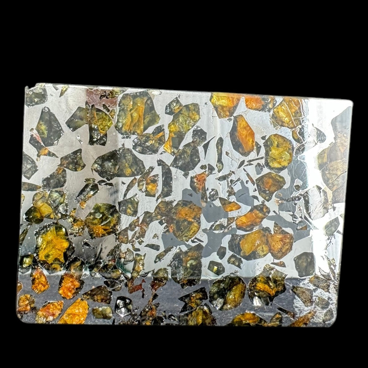 Meteorite - Seymchan - Iron Pallasite