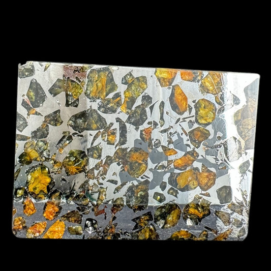 Meteorite - Seymchan - Iron Pallasite