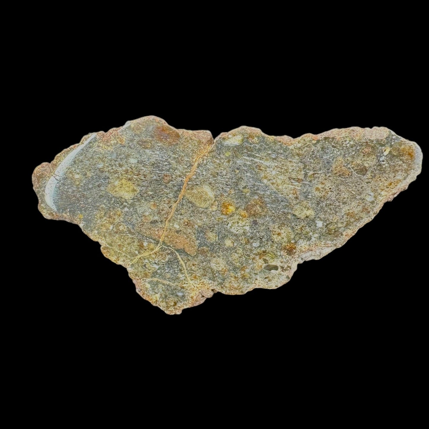 Meteorite - NWA 12230 - Polymict