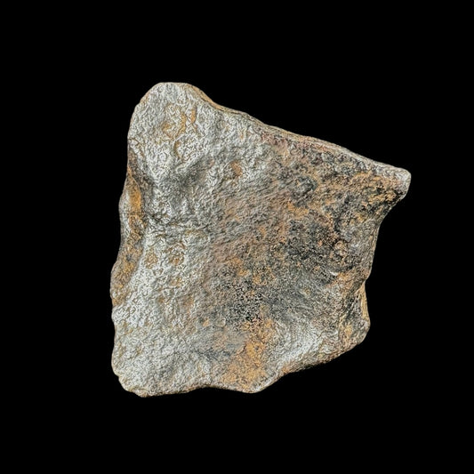 Meteorite - Canyon Diablo - Octahedrite