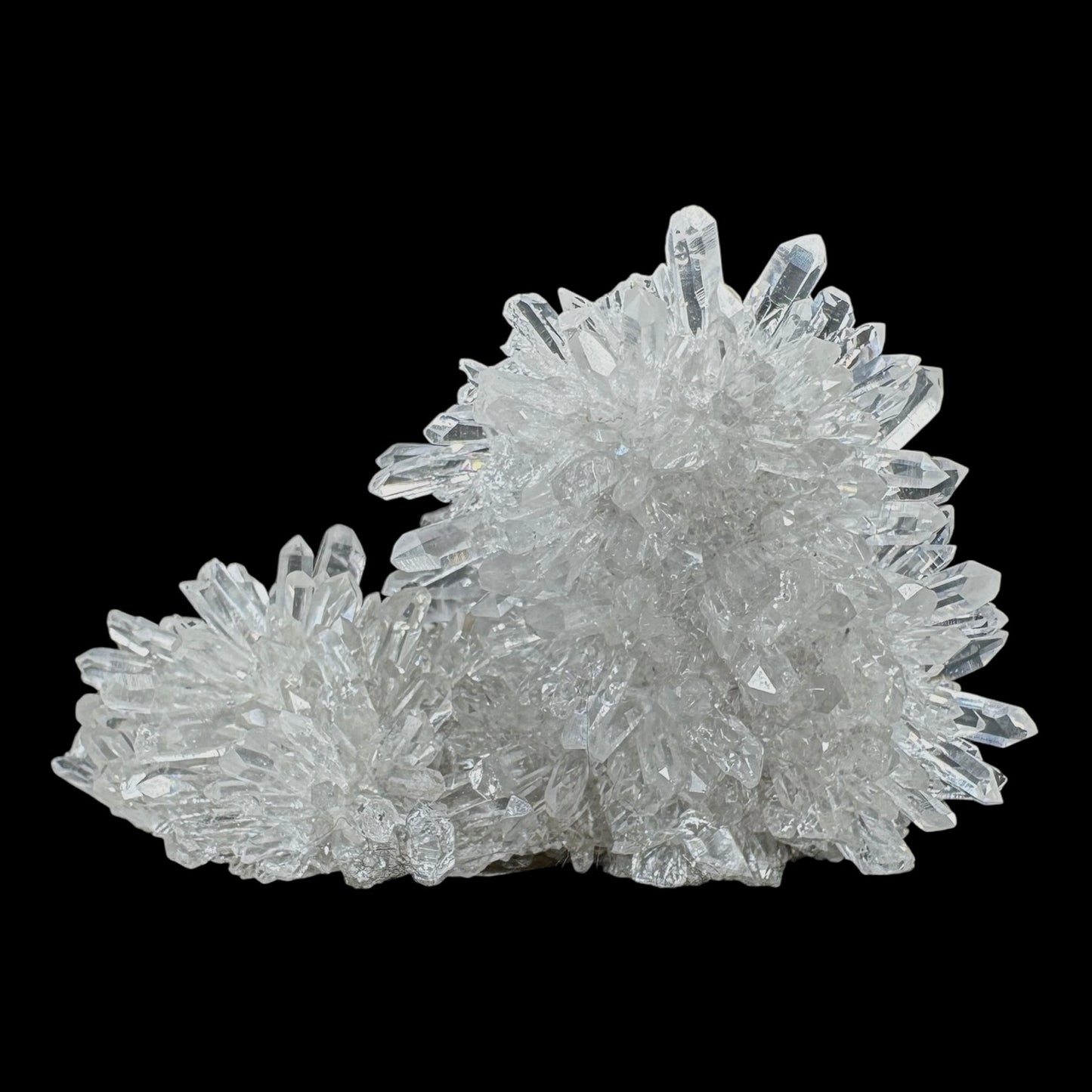 Chrysanthemum Stone