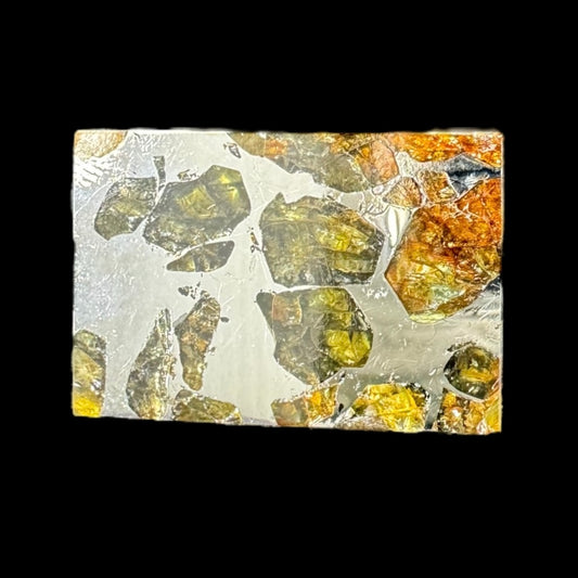 Meteorite - Seymchan - Iron Pallasite