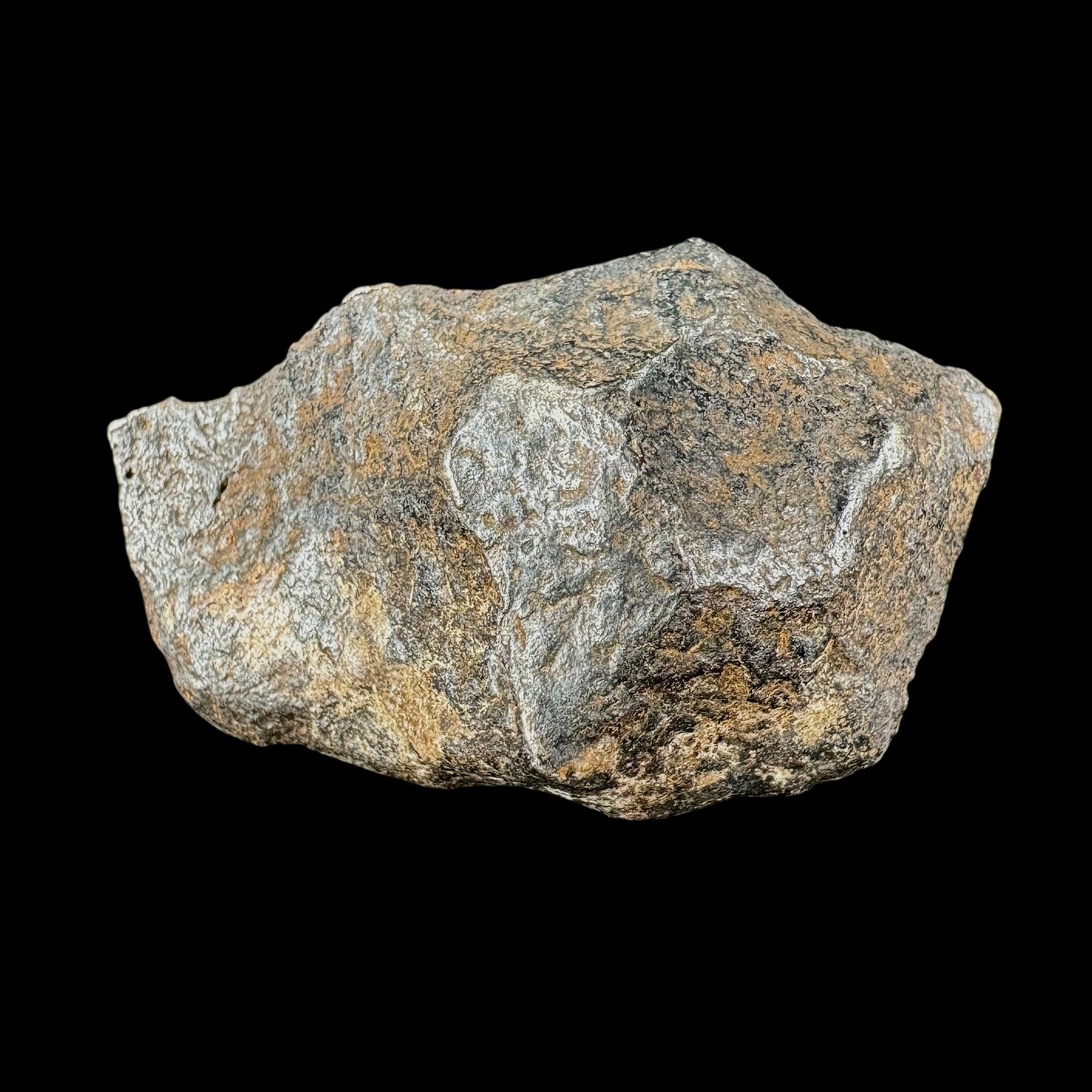 Meteorite - Canyon Diablo - Octahedrite