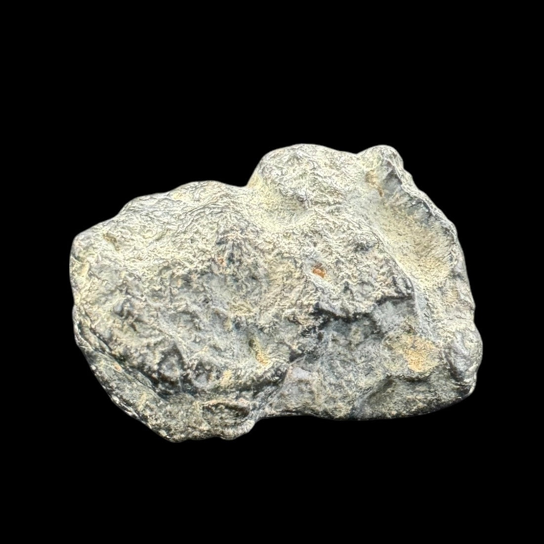 Meteorite - NWA 13974 - Lunar