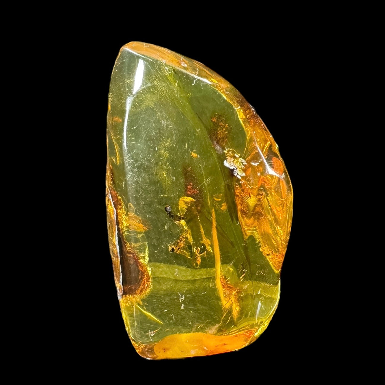 Amber w/ Insect Inclusions