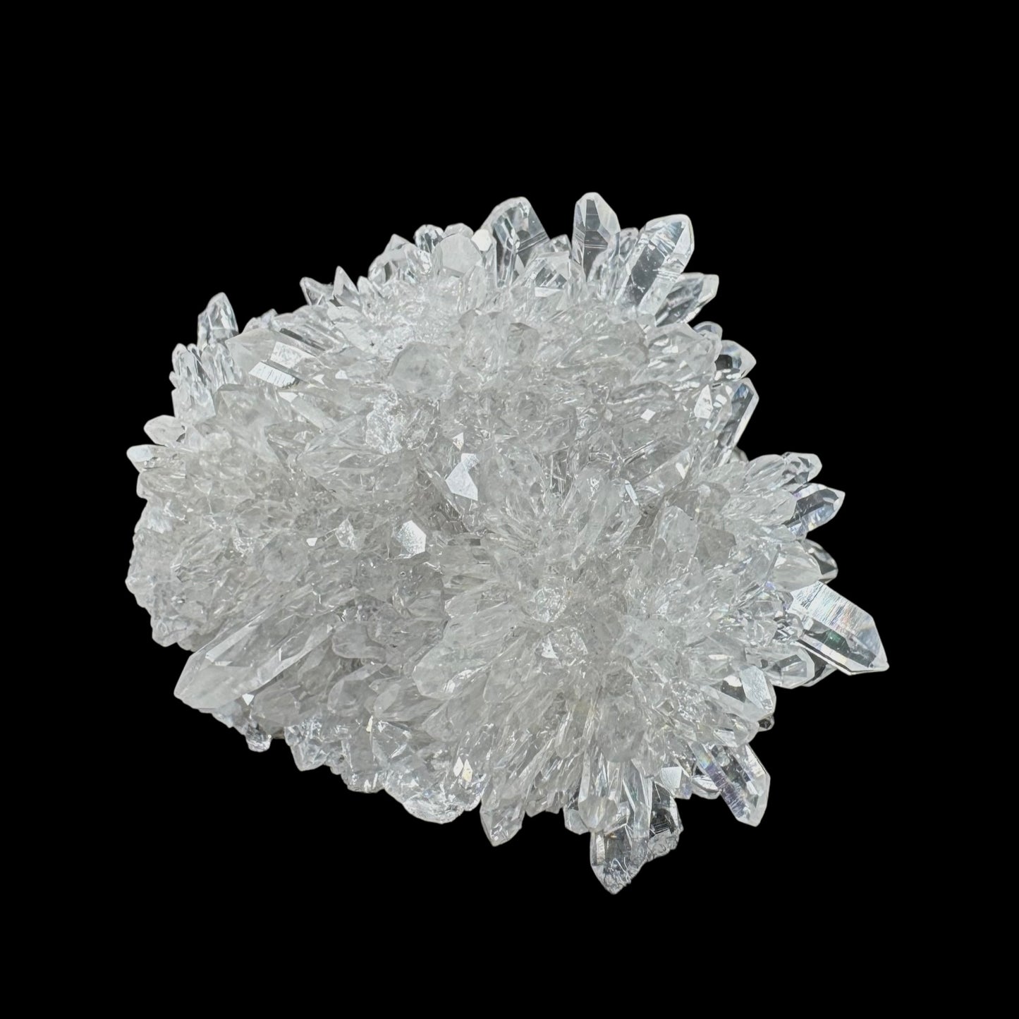 Chrysanthemum Stone