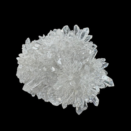 Chrysanthemum Stone