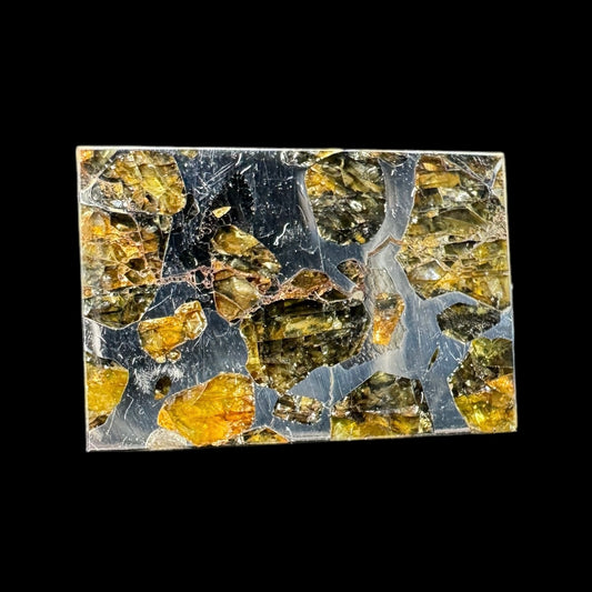 Meteorite - Seymchan - Iron Pallasite