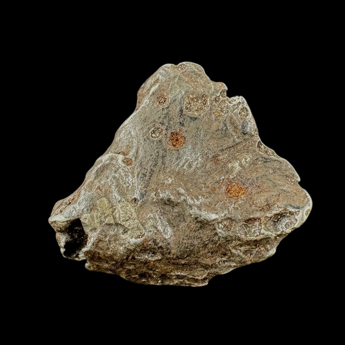 Meteorite - Sikhote-Alin - Octahedrite