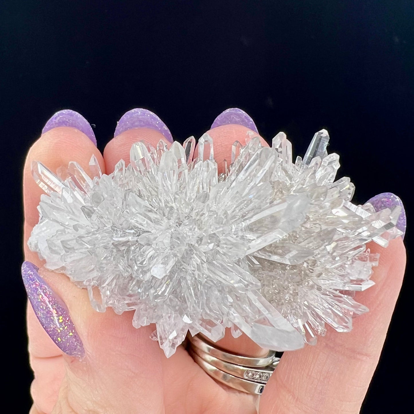 Chrysanthemum Stone