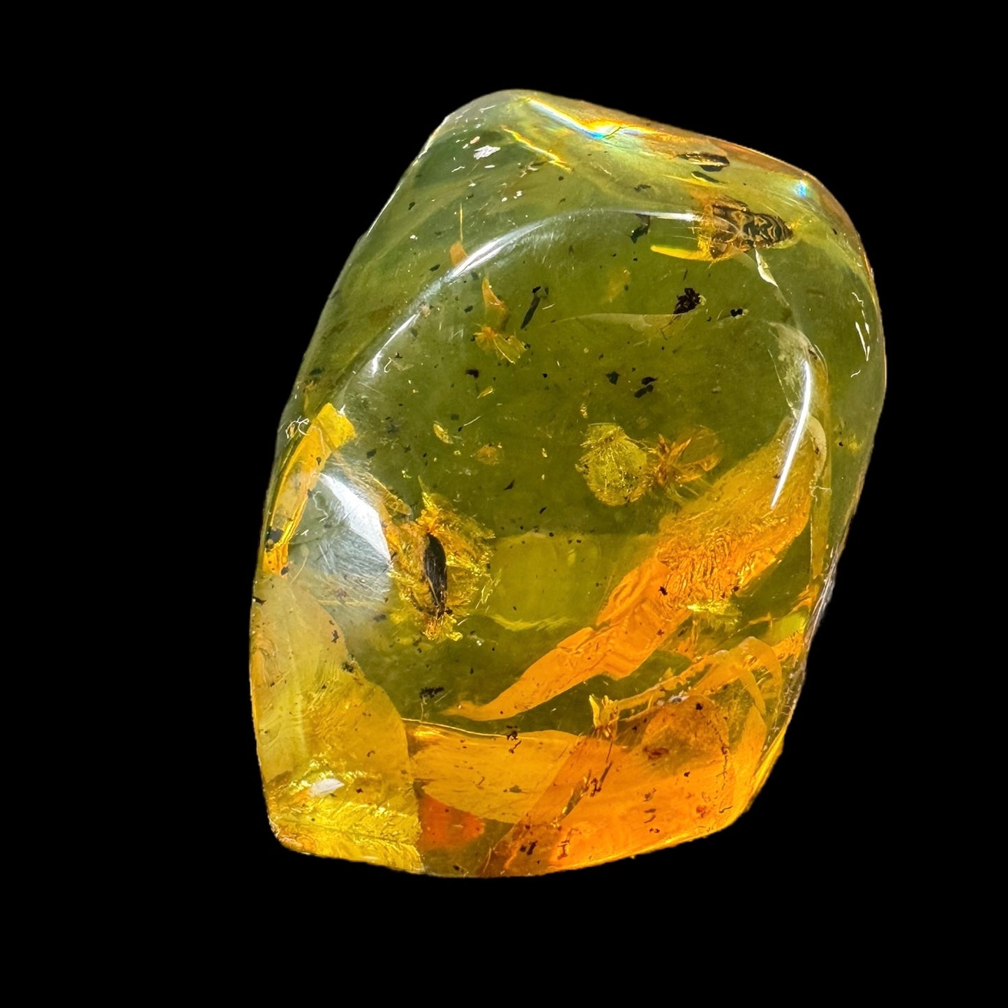 Amber w/ Insect Inclusions