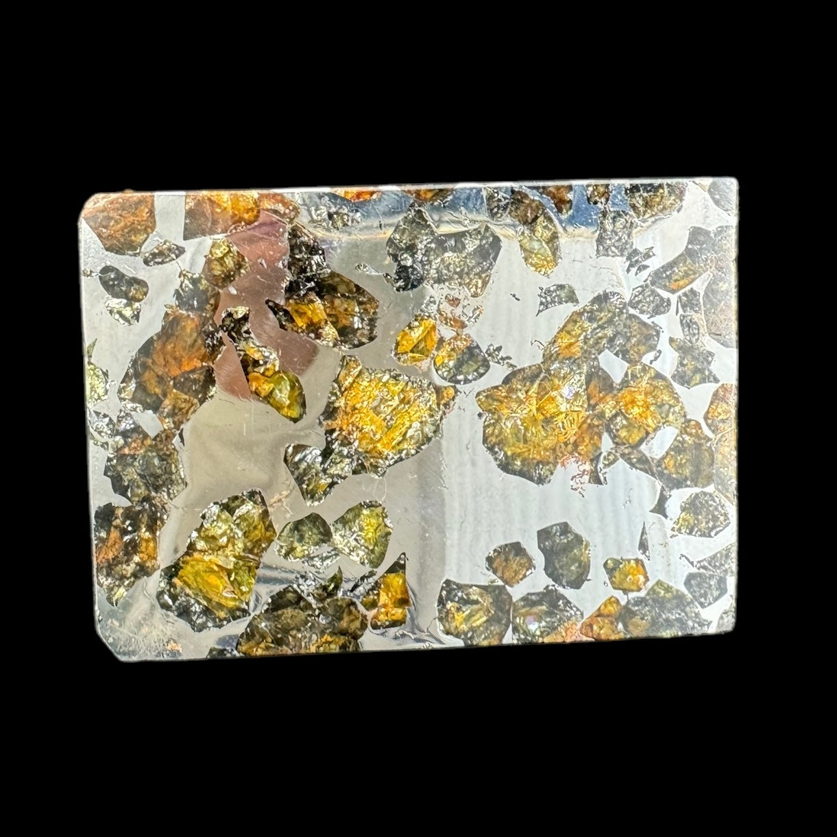 Meteorite - Seymchan - Iron Pallasite