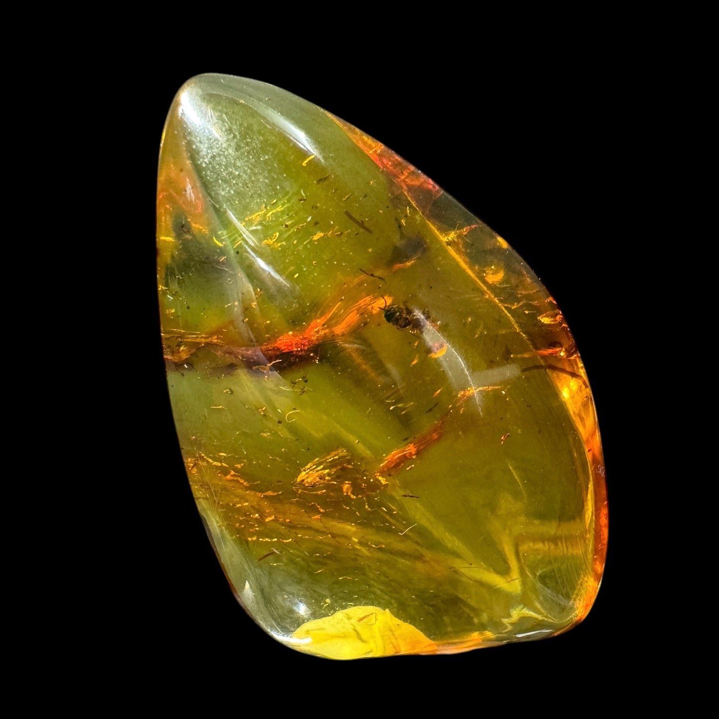 Amber w/ Insect Inclusions
