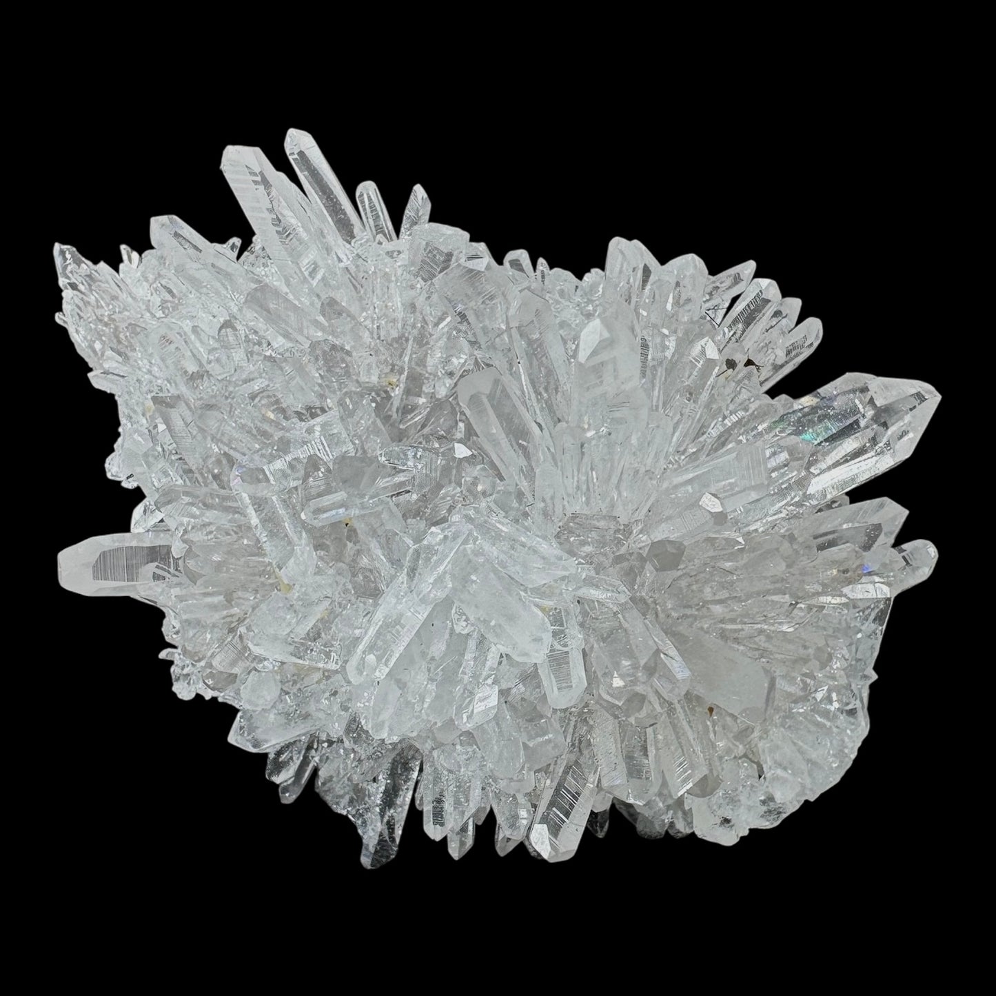Chrysanthemum Stone