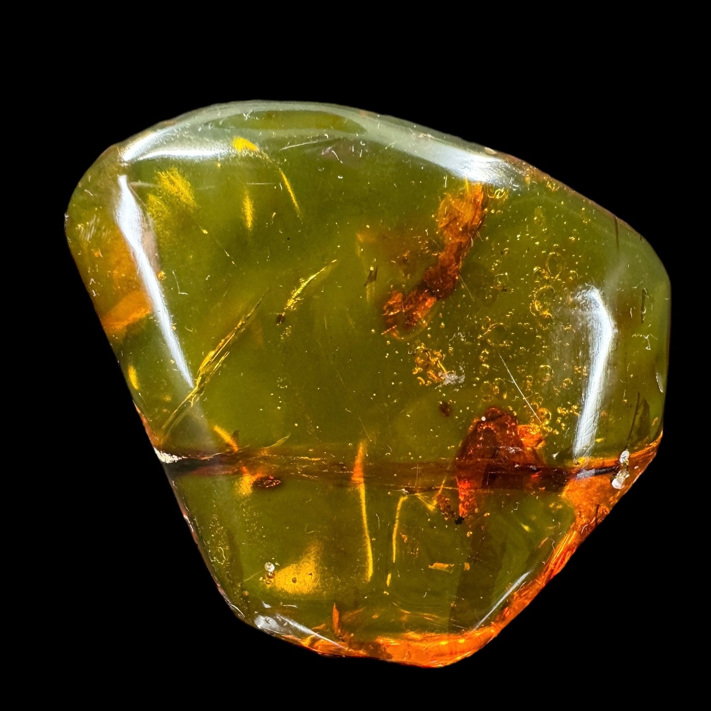 Amber w/ Insect Inclusions