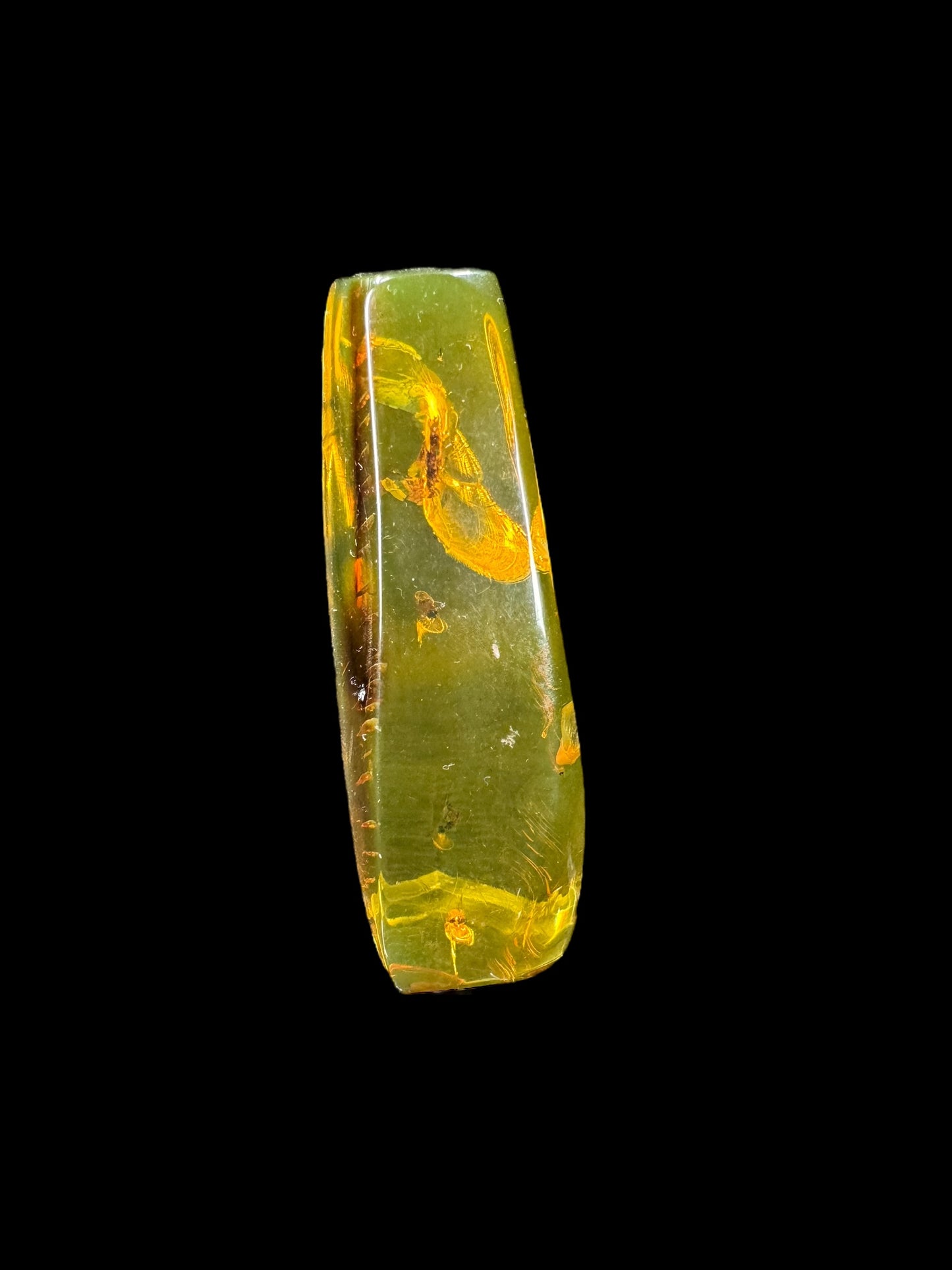 Amber w/ Insect Inclusions