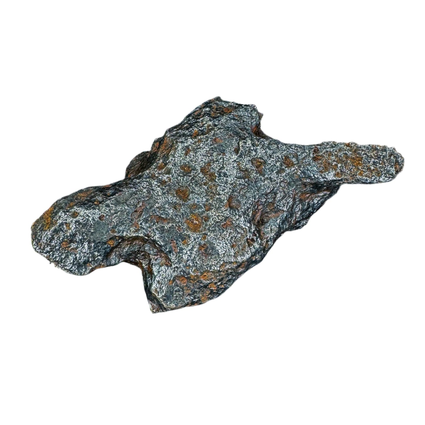 Meteorite - Campo del Cielo - Octahedrite