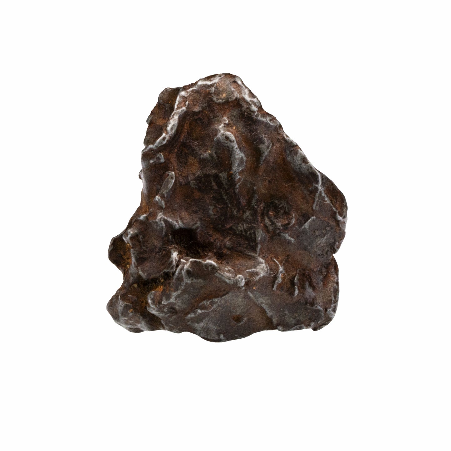 Meteorite - Gebel Kamil - Nickel Iron