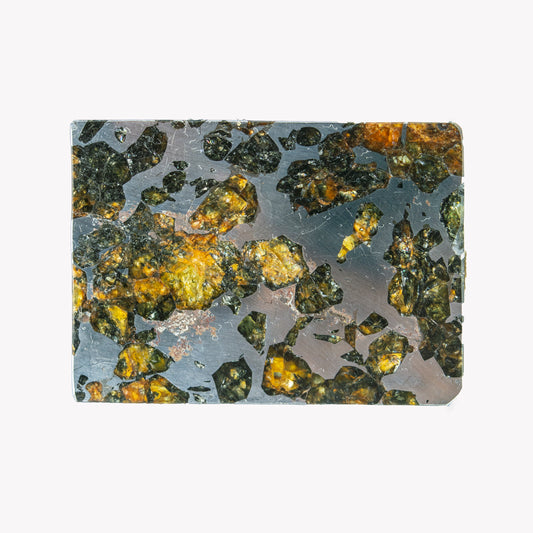 Meteorite - Seymchan - Iron Pallasite