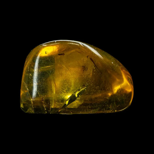 Amber W/ Insect Inclusions Bulk