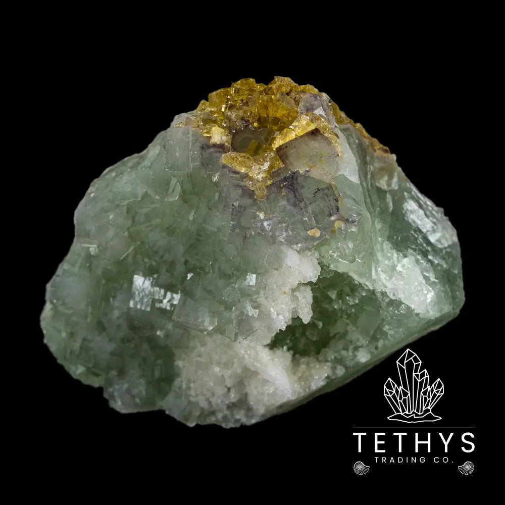 Barite W/ Fluorite Wysiwyg