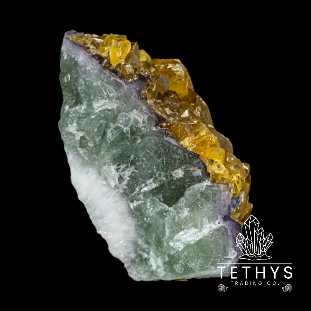 Barite W/ Fluorite Wysiwyg