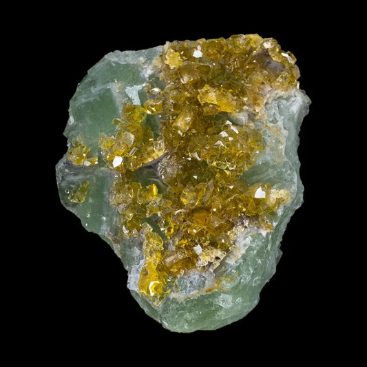 Barite W/ Fluorite Wysiwyg